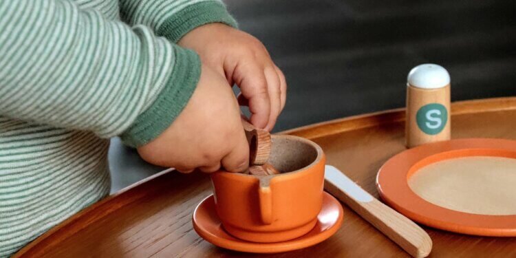 Montessori Cause and Effect Toys